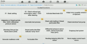 What are VAG guided functions