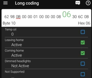 vag coming leaving home
